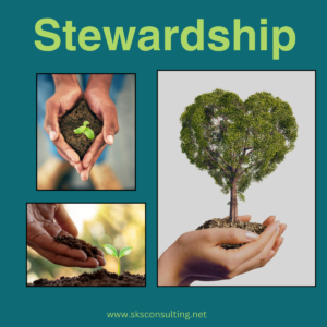 Stewardship photos of seedling to plant