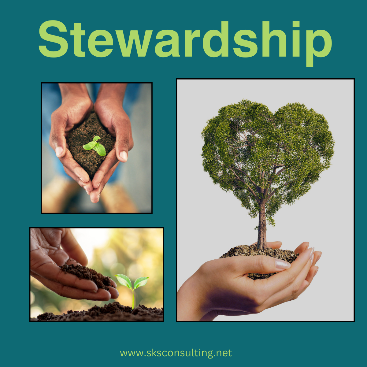 Collage of three images with title “Stewardship.” Images all depict a sprout or tree growing out of soil in a person’s hands.