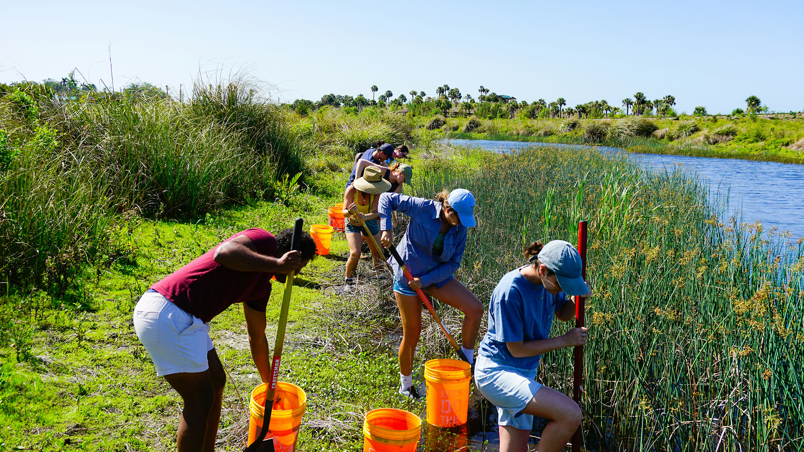 A group of volunteers with shovels and buckets working near tall grass on the edge of a water body.